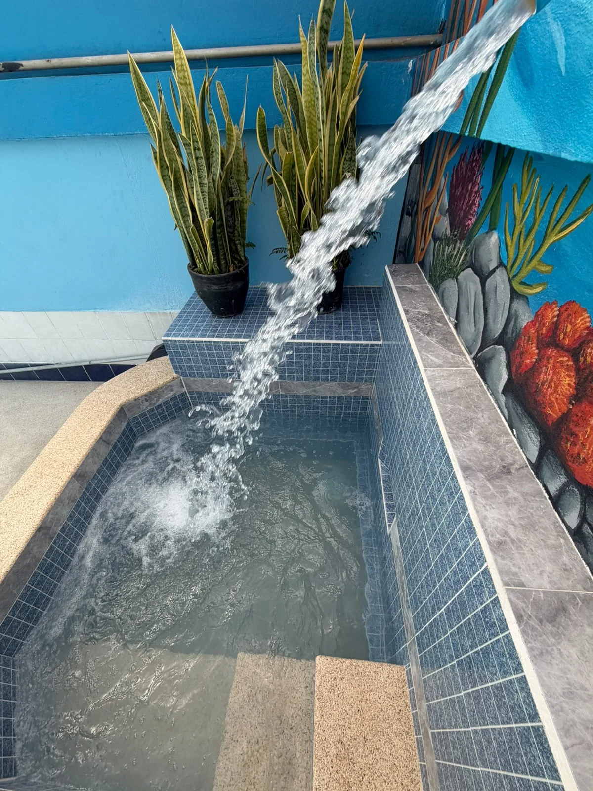 Chorros de agua en Rey de Francia - Piscina y Hostal